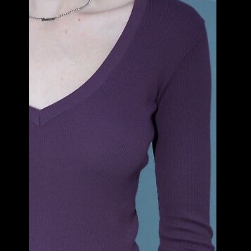 Brandy Melville  Leah long sleeve top v neck